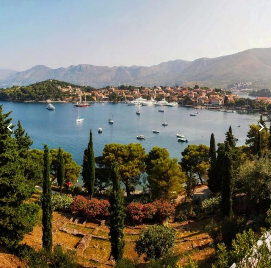 Bianchi Lägenhet Cavtat Exteriör bild