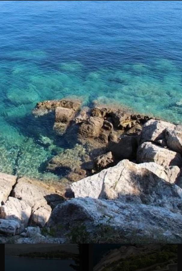 Bianchi Lägenhet Cavtat Exteriör bild