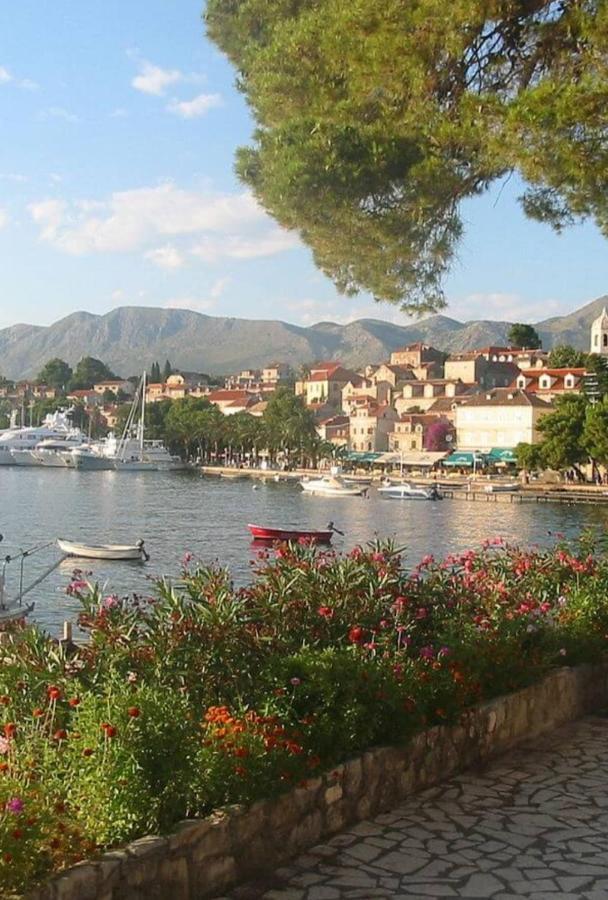 Bianchi Lägenhet Cavtat Exteriör bild