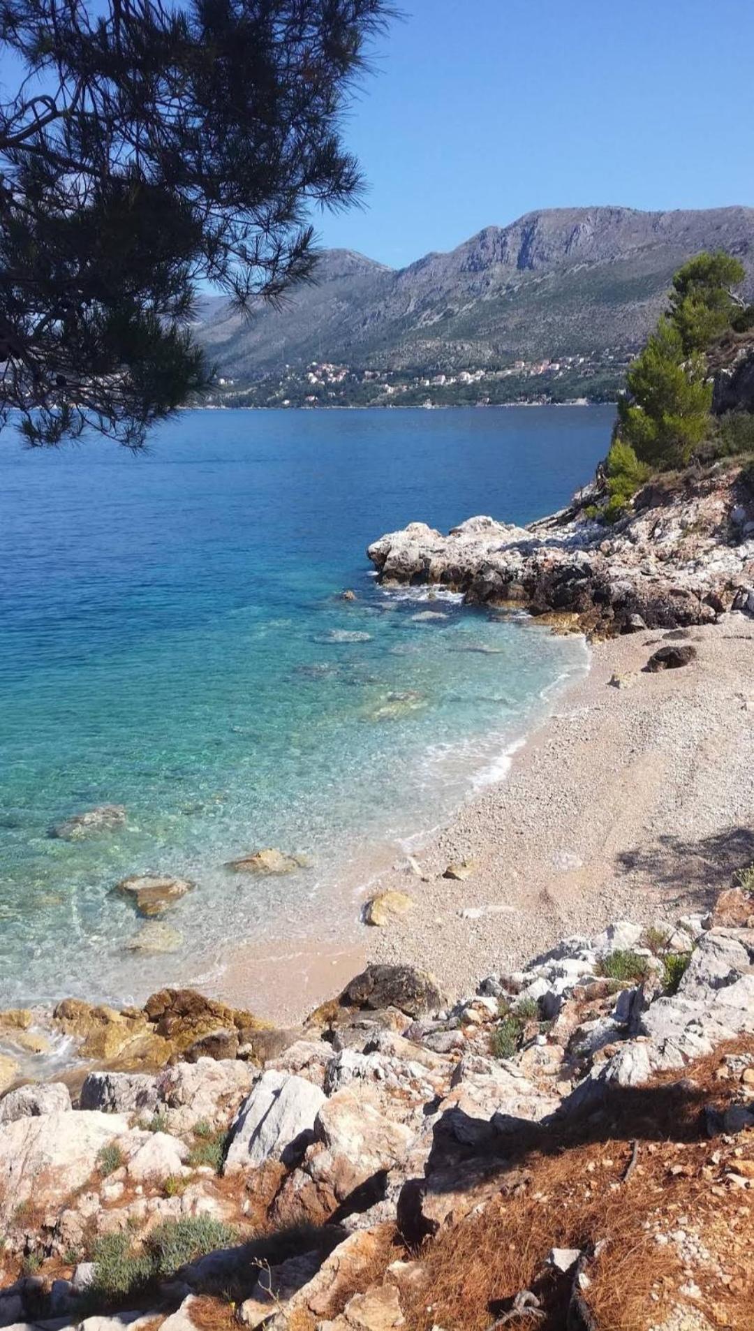 Bianchi Lägenhet Cavtat Rum bild